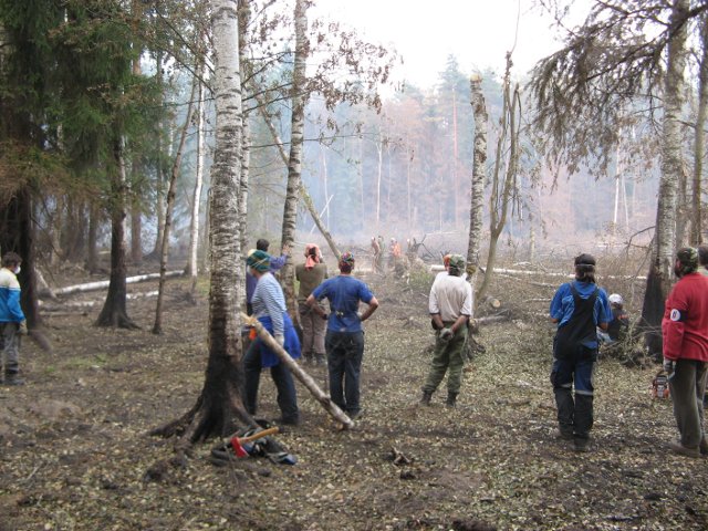 Des volontaires près de Roshal (district de Shatursky, region de Moscou) voyant bruler la forêt, nettoyant les débris, éteignant les petits feux